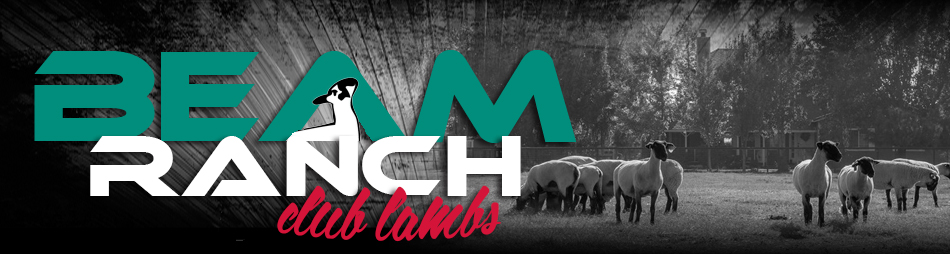 Beam Ranch Club Lambs