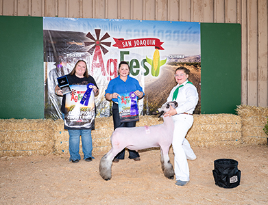 4-H Reserve Champion Lightweight
Reserve Champion County Bred and Born
Ag Fest