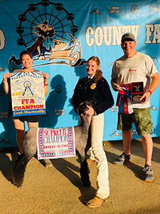 Reserve Champion Breeding Ewe
El Dorado County Fair