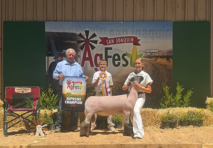 “Frat Boy”
Reserve Supreme Champion Ram
Ag Fest