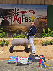 Supreme Champion Ewe
Ag Fest