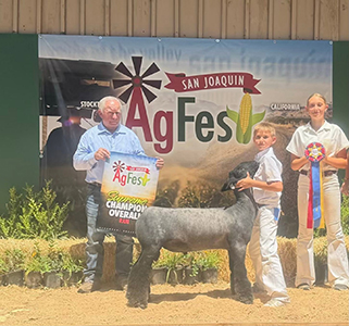 Iron Horse
Supreme Champion Ram
Ag Fest