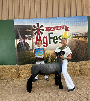 Black Panther
Champion Middleweight Market Lamb
Ag Fest